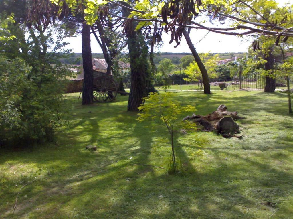 El Senorio De La Serrezuela Aldeanueva de la Serrezuela Εξωτερικό φωτογραφία